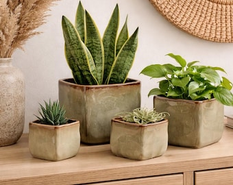 May include: A collection of potted plants in square, weathered-look ceramic planters. The plants include a snake plant, a small succulent, and a leafy green plant. The arrangement sits on a wooden surface, with a vase of dried grasses and a woven mirror in the background.
