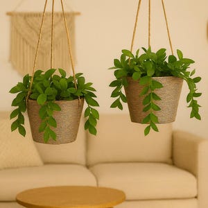 Puede incluir: Dos macetas colgantes con plantas verdes. Las macetas tejidas están suspendidas por cuerdas naturales. El fondo incluye un sofá beige, una mesa redonda de madera y adornos de pared, creando un ambiente cálido y acogedor.