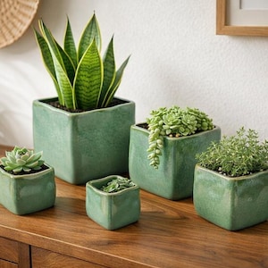 Può includere: Una collezione di vasi quadrati in ceramica verde di varie dimensioni, ognuno con diversi tipi di piante. Le piante includono una sansevieria, piante grasse e altra vegetazione. I vasi sono disposti su una superficie di legno.