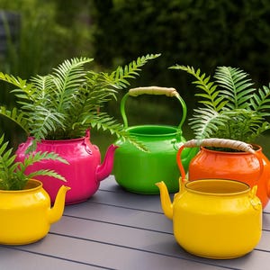 May include: A collection of colorful, teapot-shaped planters, each filled with green ferns. The planters are in bright shades of yellow, pink, green, and orange. The teapots have handles and spouts, and are arranged on a gray table.