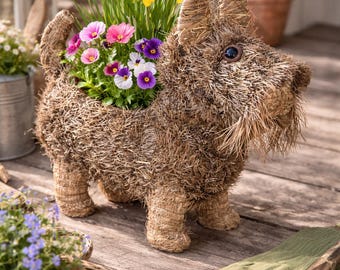 Pflanzhund aus Naturgras handgefertigt, Garten Deko Hund bepflanzbar, nachhaltige Gartendeko, Türdeko Frühling Sommer - Geschenkidee