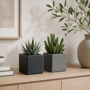 Può includere: Due vasi quadrati in ceramica grigio scuro e grigio, ciascuno con una pianta succulenta. Il vaso grigio scuro è a sinistra e il grigio a destra. Le piante hanno foglie verdi. I vasi sono su una superficie di legno.