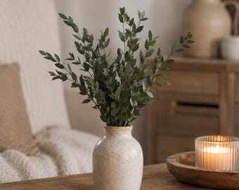 Getrockneter Eukalyptus Parvifolia, Natürliche Trockenblumen für Vase, Tischdeko Landhaus, Naturdeko Wohnzimmer - Geschenkidee - 5 Stiele