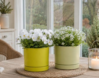 Modern flower pot, plant pot in sage or lime green, planter for houseplants, decorative pot - living room decor - gift idea