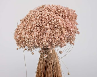 Pode incluir: Um buquê de flores de gipsofila secas de cor rosa claro com caules marrons longos.