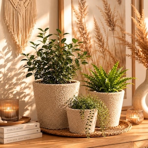 Beige teddy fabric flower pot, planter with teddy texture, boho plant pot, beige planter, living room decor, gift idea - 4 sizes