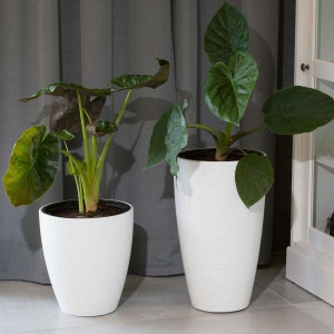 Modern plastic planter - Weatherproof plastic flowerpot - Ideal for planting plants - 2 colors