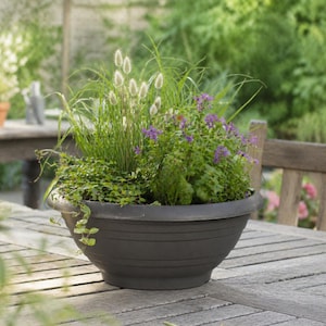 Könnte beinhalten: Ein dunkelgrauer, runder Pflanztopf gefüllt mit verschiedenen grünen Pflanzen und lila Blumen. Der Pflanztopf steht im Freien auf einem Holztisch, mit einem verschwommenen Gartenhintergrund.