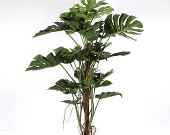 Pianta artificiale di filodendro pianta artificiale alta 90 cm, foglia con radici, pianta d'appartamento verde