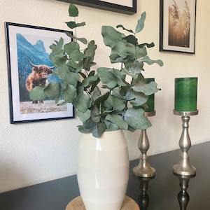 Dried flowers eucalyptus, Cinerea green - Dried flower bouquet - Eucalyptus branches - 3 stems