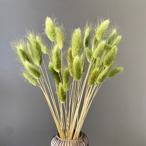 Lagurus dried flowers, decorative velvet grass, fluffy blossoms of rabbit tails, bunny tails, table decoration, souvenir, gift, various colors