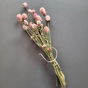 Dried flowers Gomphrena dried, pink – dried flowers – small dried flower bouquet – globe amaranth – table decoration vintage
