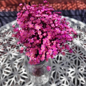 Glixia - Marcela dried flowers - dried flower decoration - dried flower bouquet - small flowers for decorating, crafting or giving away