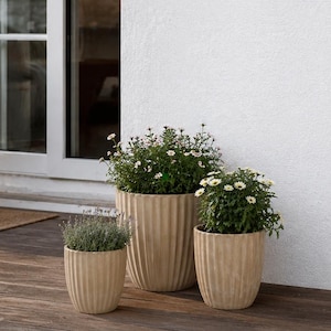 May include: Three beige, ribbed ceramic planters of varying sizes, each filled with green plants and white flowers, sit on a wooden deck. A wooden ladder and a decorative lantern are also present. The scene evokes a sense of outdoor decor.