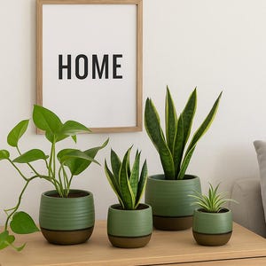 Modern flowerpot green-matte - Round planter - Boho decoration - Ceramic pot - Planter - Gift idea - 4 sizes