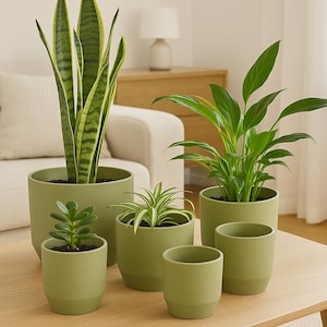 Green flowerpot - Khaki matt plant pot - Round plant pot - Ceramic pot for planting - Gift idea for the living room - 5 sizes