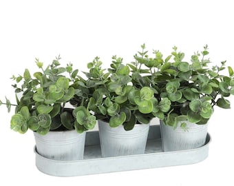 Artificial Eucalyptus plant, lifelike in zinc pot with zinc saucer, gift set