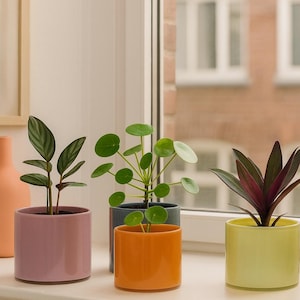 Pot de fleurs en verre, jardinière moderne - pot marbré - pot en verre pour plantation - couleurs pastel - idée cadeau