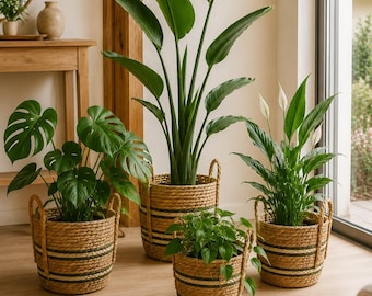 Pflanzkorb mit Henkeln aus Maisblatt, 4 Größen oder Set, Aufbewahrungskorb, Übertopf, Korb zum Bepflanzen, Boho Naturdeko - Geschenkidee