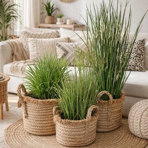 Op de afbeelding: Drie geweven manden met handvatten, elk gevuld met groene planten, staan op een ronde jute vloerkleed. De manden variëren in grootte en zijn geplaatst voor een witte bank met decoratieve kussens. Een natuurlijk, neutraal interieur.