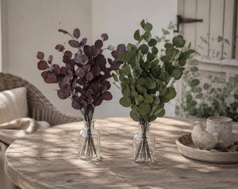 Dried Eucalyptus Populus, Preserved Eucalyptus Branches, Green/Red Natural Decoration, Country House Decoration - Gift Idea