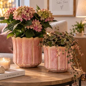 May include: Two fluted ceramic planters with a glossy pink and cream glaze. The larger planter holds a blooming pink hydrangea plant, while the smaller planter contains a trailing green and pink vine plant with small, rounded leaves.