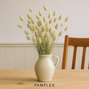 Dried flowers - Phalaris dried - Dried grasses - Natural decoration - Dried flower bouquet - Dried flowers - DIY table decoration country style