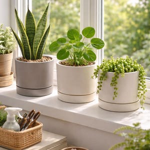 Op de afbeelding: Drie potplanten op een vensterbank. De planten staan in neutrale keramische potten. De planten omvatten een slangplant, een plant met ronde bladeren en een hangplant. Een klein mandje en andere decoraties staan op de voorgrond.