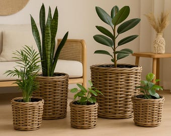 Mittelgroße Blumentopf-Abdeckung aus Filz handgemacht, skandinavisches Wohndekor, Filz-Pflanzen-Abdeckung, Sonderanfertigung, Zimmerpflanzen
