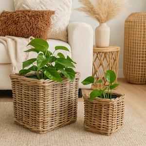Op de afbeelding: Twee vierkante, geweven rieten plantenbakken, één groot en één klein, elk gevuld met groene bladplanten. De plantenbakken zijn lichtbruin en staan op een neutraal gekleurd tapijt. De achtergrond omvat een witte bank.
