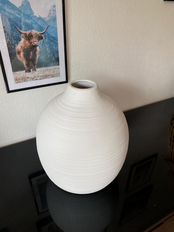 minipflanzen 🏡 Kleine Pflanzen – große Wirkung ✨ Mini-Zimmerpflanzen passen auch in die kleinste Ecke: auf's Regal, den Schreibtisch oder die Fensterbank. In Gruppen arrangiert wirken sie besonders dekorativ – d Color:Sugar Pink