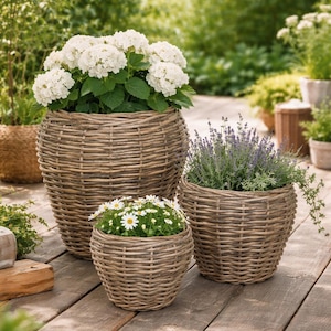 Peut inclure: Trois jardinières en osier tressé de différentes tailles, chacune remplie de plantes. La plus grande contient des fleurs d'hortensia blanches, la moyenne de la lavande et la plus petite des marguerites. Les pots sont sur une terrasse en bois.