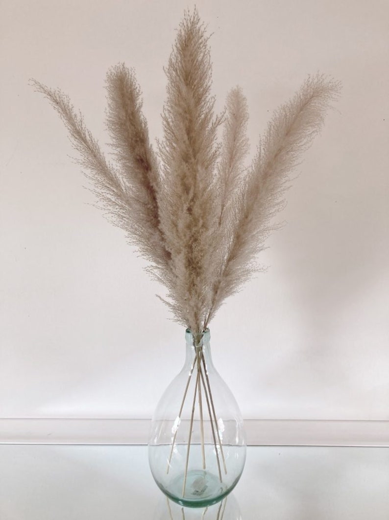 May include: A bouquet of dried pampas grass in a clear glass vase with a rounded body. The vase is sitting on a white surface.