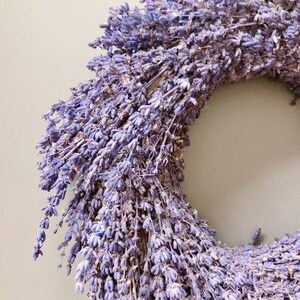 May include: A dried lavender wreath, showcasing a circular arrangement of purple lavender stems. The wreath is densely packed, with a natural, rustic aesthetic. The lavender's color ranges from light to deep purple.