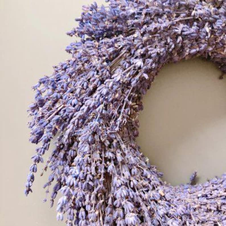May include: A dried lavender wreath, showcasing a circular arrangement of purple lavender stems. The wreath is densely packed, with a natural, rustic aesthetic. The lavender's color ranges from light to deep purple.