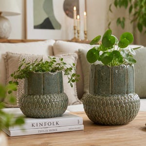 Peut inclure: Deux cache-pots en céramique vert sauge avec une base texturée en forme d'écailles et une partie supérieure lisse à côtes verticales. Le plus petit contient une plante retombante, tandis que le plus grand abrite un Pilea peperomioides.