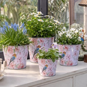 Może przedstawiać: Cztery ozdobne metalowe donice z motywami kwiatowymi i ptasimi. Donice są wypełnione różnymi kwitnącymi roślinami, w tym niebieskimi szafirkami, stokrotkami oraz białymi i fioletowymi kwiatami. Donice są ustawione na białej powierzchni.