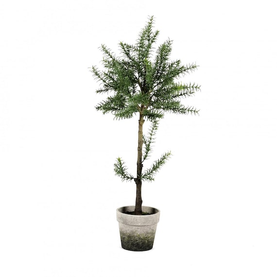 Knstliches Rosmarin Bumchen-Hochstmmchen 82 cm  mediterrane Deko fr  Terrasse, Kche & Balkon - Geschenkidee - Etsy sterreich