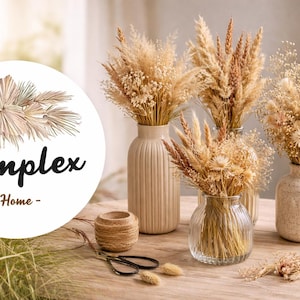 May include: A still life arrangement featuring dried floral bouquets in various vases. The vases are beige and clear glass, and the flowers are in shades of beige and brown. The image includes the text "Pamplex - Home".