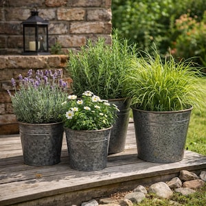 May include: Four galvanized metal planters filled with various plants, including lavender, daisies, rosemary, and ornamental grass. The planters are arranged on a wooden deck, with a brick wall and a lantern in the background. The plants are in full bloom.