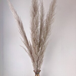 May include: A bouquet of dried pampas grass in a gold vase. The vase has a textured surface.