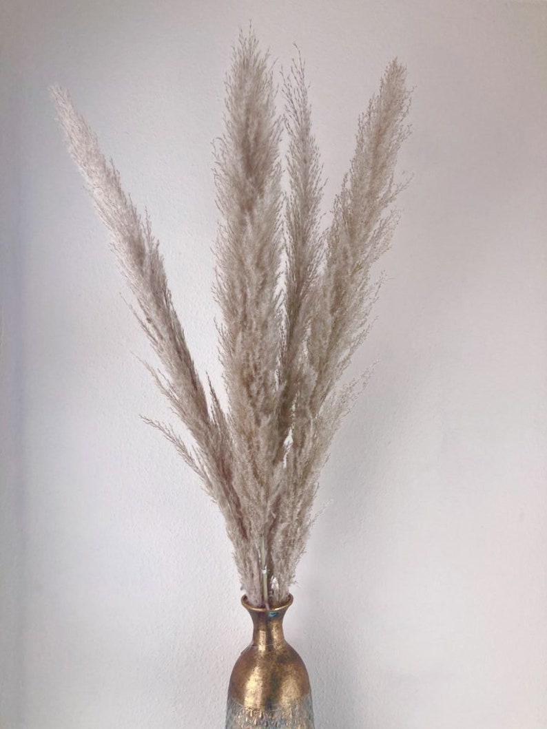 May include: A bouquet of dried pampas grass in a gold vase. The vase has a textured surface.