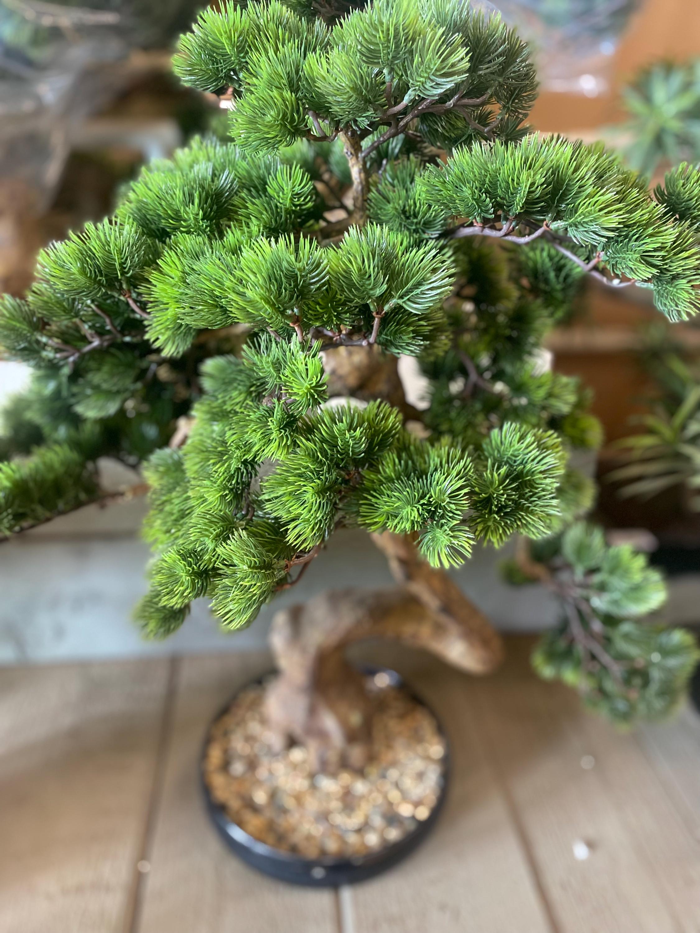 Bonsai im Topf, Knstlicher Bonsai Baum - Asiatische Dekoration -  Geschenkidee Bro Wohnzimmer - 76cm - Etsy sterreich