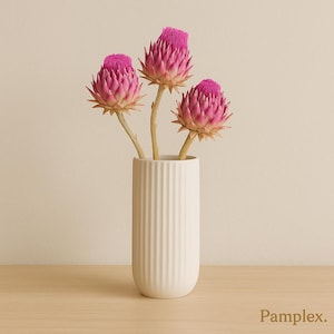 Getrocknete Artischocke Pink – Trockenblume Deko – Boho Tischdeko, Basteln, Hochzeit, DIY Kränze - Geschenkidee