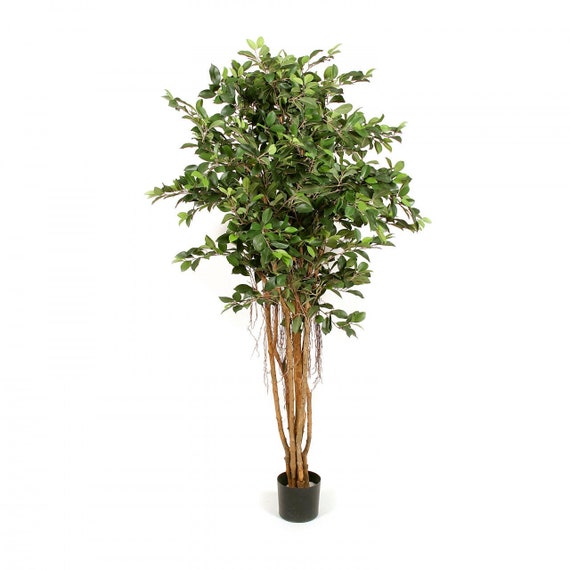 Knstlicher Ficus naturgetreu - Kunstpflanze im Topf 90cm hhe - Terrassen  Deko - Geschenkidee - Etsy.de