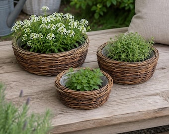 Pflanzkorb aus Weinrebe, Korbschale zum Bepflanzen, Natur Pflanzgefäß, Rustikale Gartendeko, 3 Größen zur Auswahl - Geschenkidee Garten