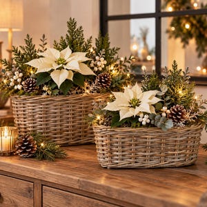 Könnte beinhalten: Zwei ovale geflochtene Weidenkörbe, gefüllt mit weißen Weihnachtssternen, grünem Tannengrün, braunen Tannenzapfen und kleinen weißen Beeren. Jedes Arrangement ist mit warmweißen Lichterketten akzentuiert und bildet ein festliches Dekor.