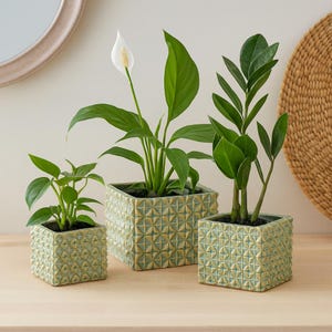 Keramik Blumentopf grün, Moderner Übertopf, Quadratischer Pflanztopf - Topf Reliefdesign - Geschenkidee - 3 Größen