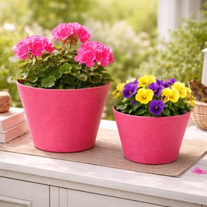 Könnte beinhalten: Zwei leuchtend rosa Blumentöpfe mit blühenden Pflanzen. Ein Topf enthält pinkfarbene Geranien, der andere gelbe und violette Stiefmütterchen. Die Töpfe stehen auf einer weißen Oberfläche und schaffen eine fröhliche Gartenszene.