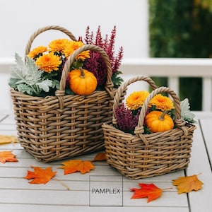Può includere: Due cesti in vimini intrecciati pieni di crisantemi arancioni, piccole zucche e erica viola. I cesti hanno manici intrecciati e poggiano su una superficie grigio chiaro con foglie autunnali sparse. La parola "PAMPLEX" è in un riquadro bianco.